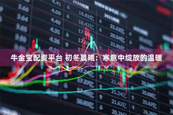 牛金宝配资平台 初冬晨曦：寒意中绽放的温暖